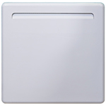 Prem-i-air Panel Mount Electric Radiator