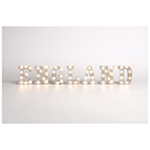 Team Name LED Letter Lights 22cm 