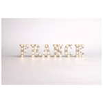 Team Name LED Letter Lights 22cm 