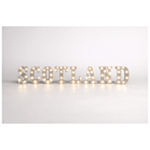 Team Name LED Letter Lights 22cm 