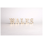Team Name LED Letter Lights 22cm 